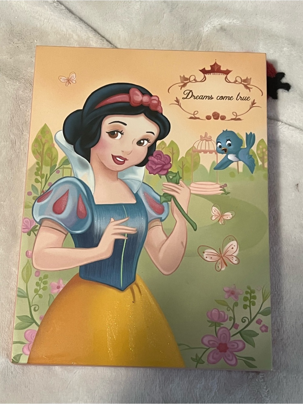 117 Piece Eyeshadow  'Dreams come true' palette with Snow White Theme